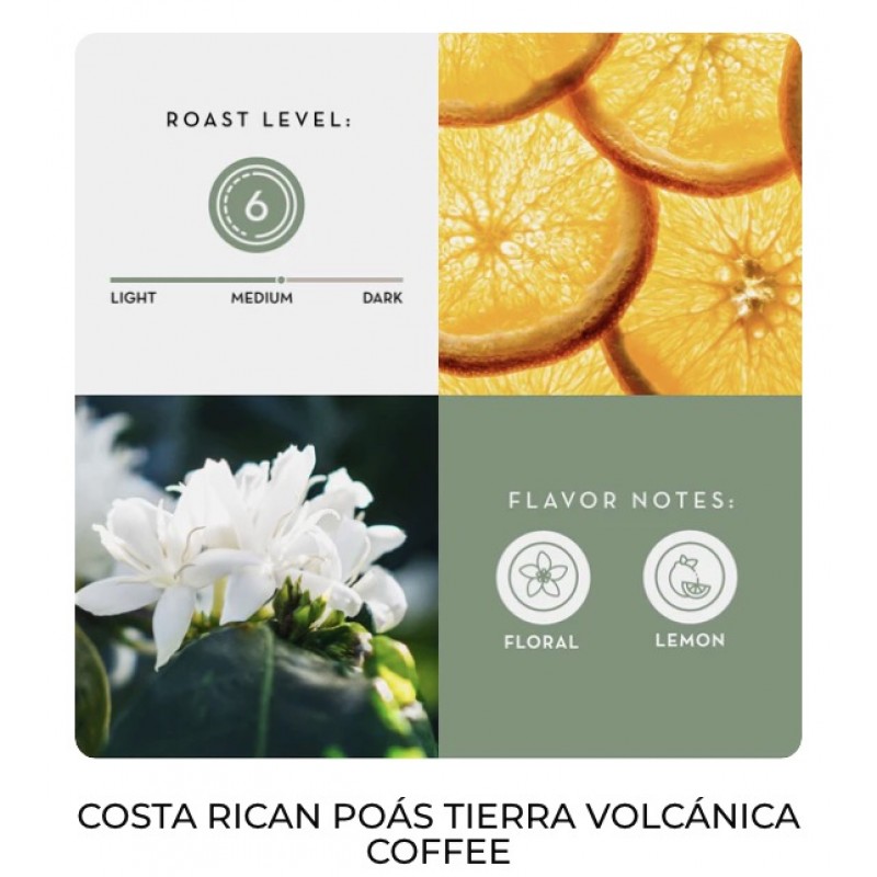 Café Britt® - Kostarikas kafijas komplekts 5xORIGIN (340 GR.) (5 iepakojumi + dāvana) (kafija no: Poas, Tres Rios, Tarrazú, Naranjo un Monteverde) - veselas pupiņas, Arabica kafija, košera, bezglutēna, gardēžu un vidēji gaiša un tumša grauzdējuma